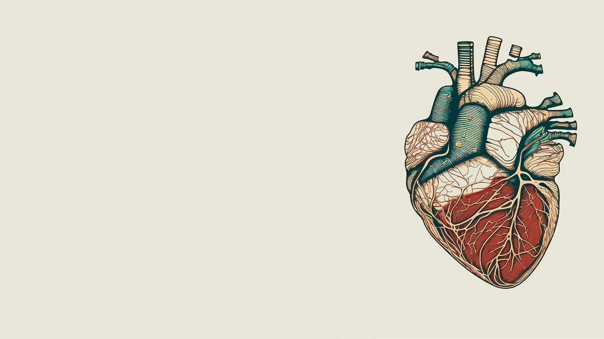 main_banner