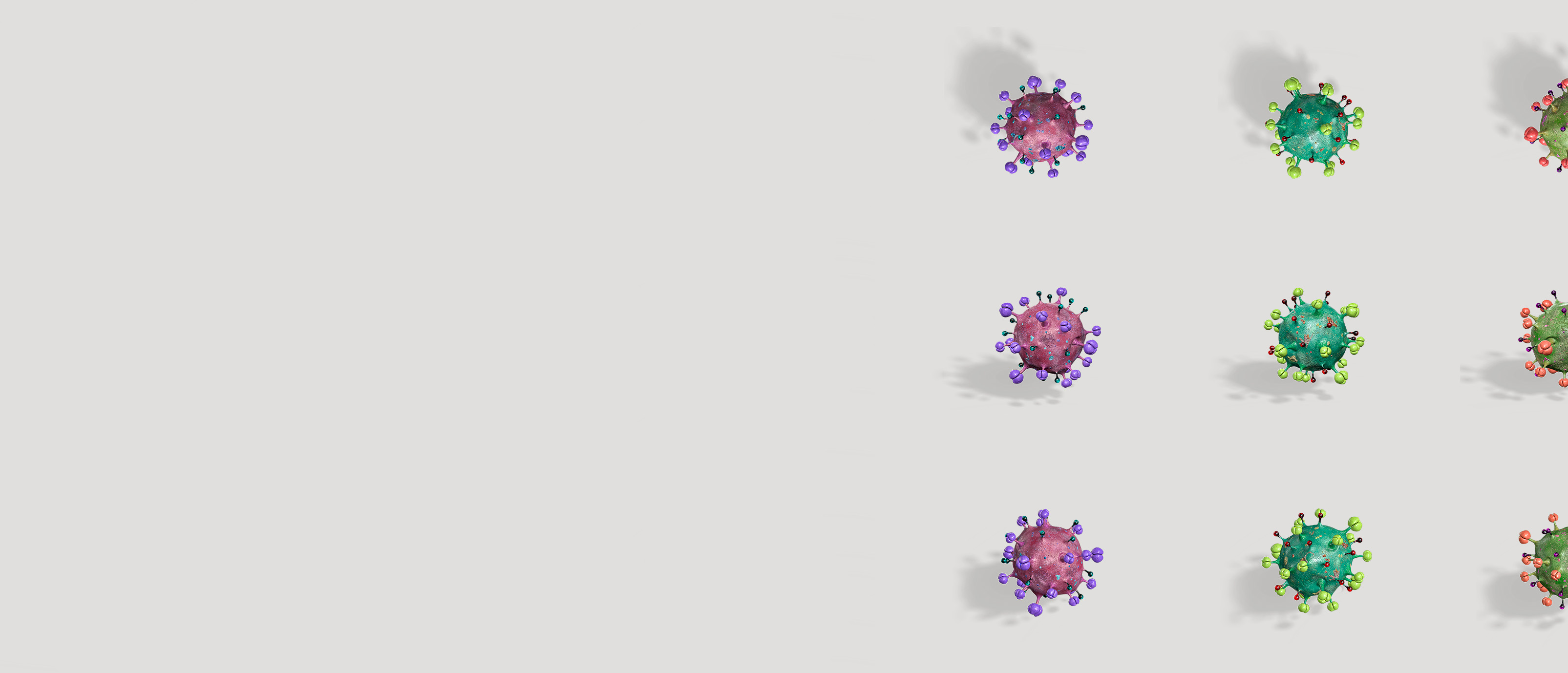 main_banner